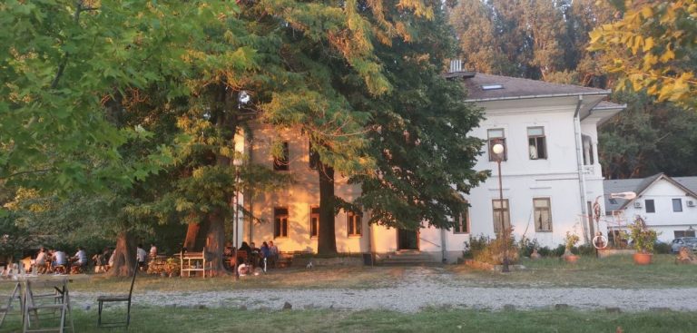 Port-Cultural-Cetate-Dinescu-location