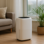 Cum să scazi umiditatea în casă